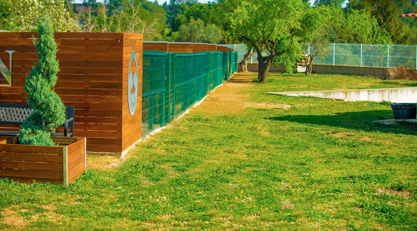 Zona de césped del criadero con vallas de madera y árboles
