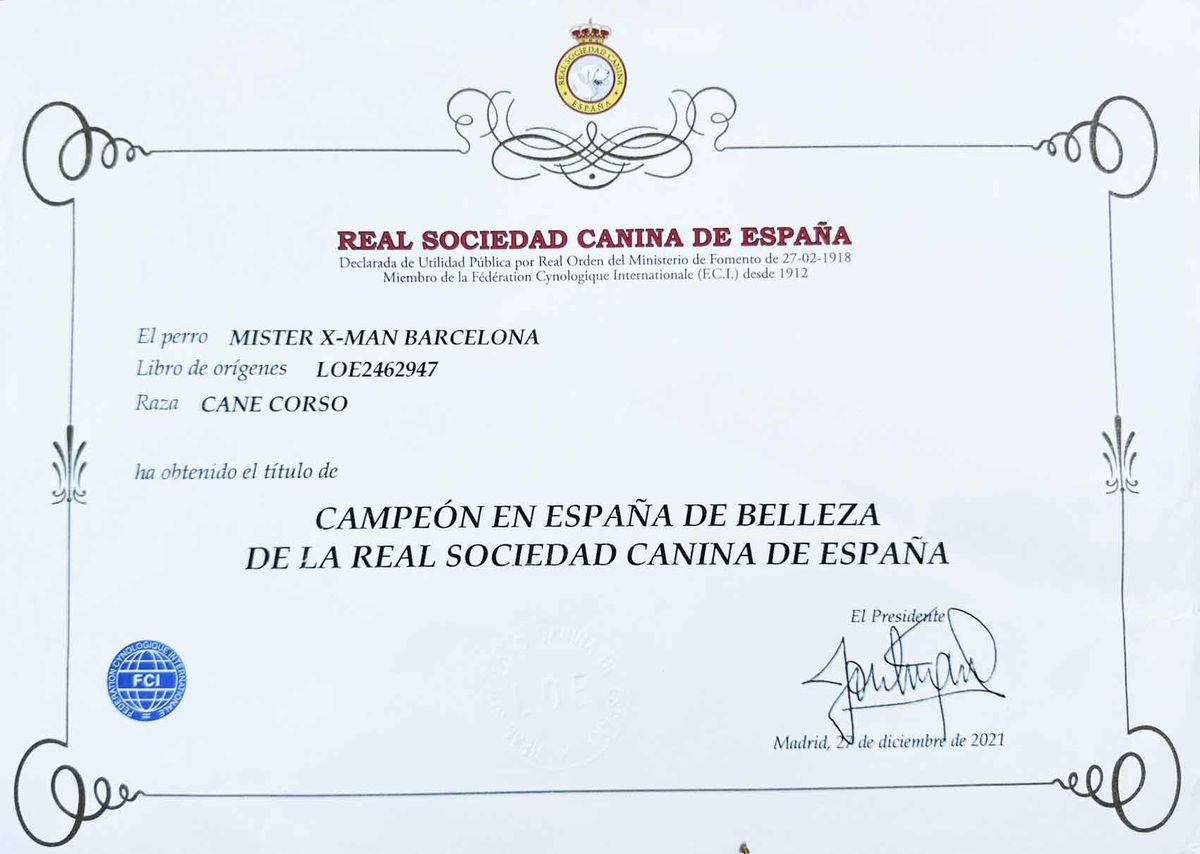 Título de Campeón de España de belleza de la Real Sociedad Canina de España