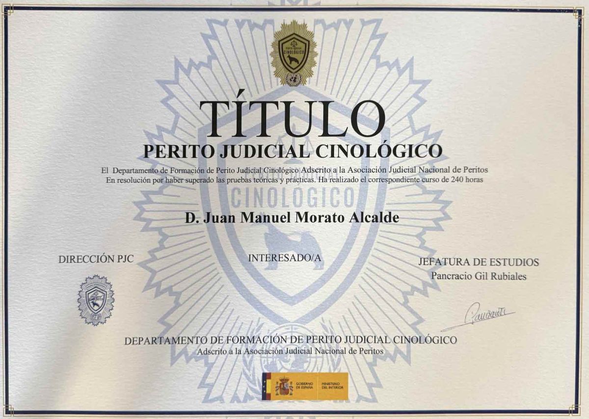 Título de Perito Judicial Cinológico a nombre de Juan Manuel Morato Alcalde